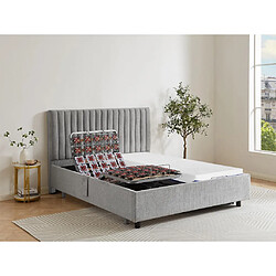 Vente-Unique Lit de relaxation SASORA - Tissu gris