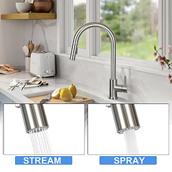 ZMH mitigeur cuisine noir/nickel douche acier inoxydable orientable à 360° extensible 2 types de douchette pas cher