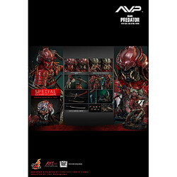 Hot toys Figurine Samurai Predator 1/6