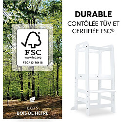 Hauck Learn N Explore