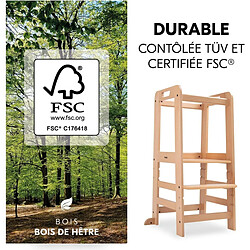 HAUCK Tour d'apprentissage Learn N Explore