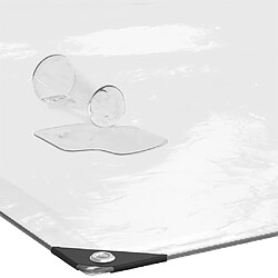 Acheter vidaXL Bâche Transparente Œillets 4x6 m