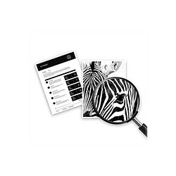 HP Cartouche d'encre 308 couleur - Multicolore