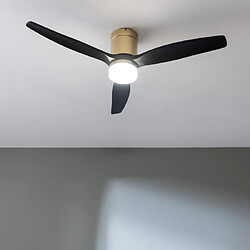 Cecotec EnergySilence Aero 5600 - GoldBlack