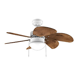 Suspension & lustre Cecotec