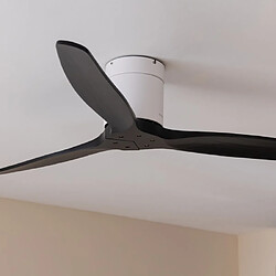 Ventilateur