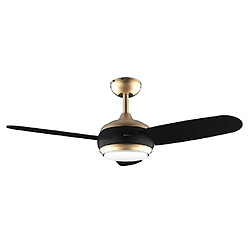 cecotec Aero 4265 GoldBlack