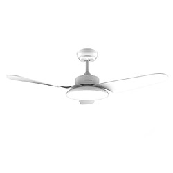 Suspension & lustre Cecotec