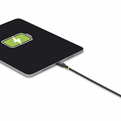 Câble antenne StarTech.com