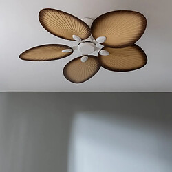 Ventilateur