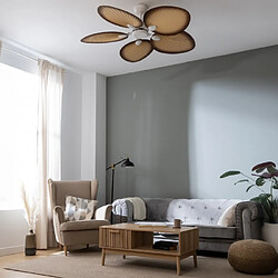 Avis Cecotec EnergySilence Aero 5200 Palm - Rose