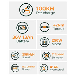HillMiles MileCity 250 W - Vert pas cher