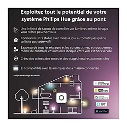 Philips Hue Twilight