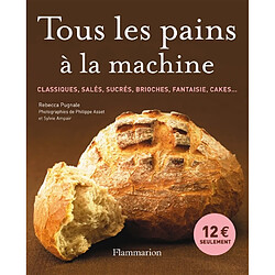 Tous les pains à la machine : classiques, salés, sucrés, brioches, fantaisie, cakes... · Occasion Rébecca Pugnale