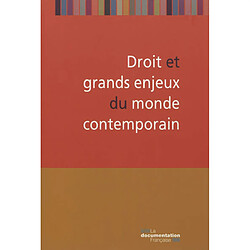 Droit et grands enjeux du monde contemporain - Occasion