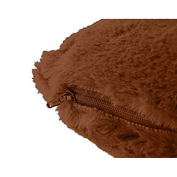 Coussin d'intérieur