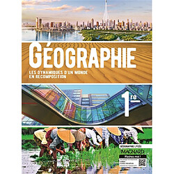 Géographie, 1re : les dynamiques d'un monde en recomposition - Occasion