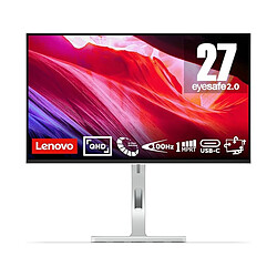 Lenovo L27h-4A - Gris