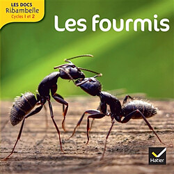 Les fourmis : cycle 2 - Occasion