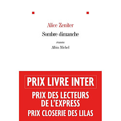 Sombre dimanche - Occasion