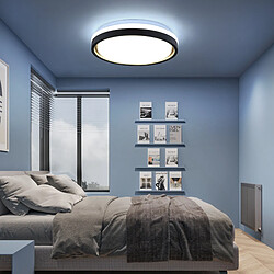 ZMH LED Ceiling Light Living Room Ø30CM Dimmable Remote Control Modern Ceiling Light Corridor pas cher