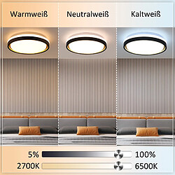 Acheter ZMH LED Ceiling Light Living Room Ø30CM Dimmable Remote Control Modern Ceiling Light Corridor