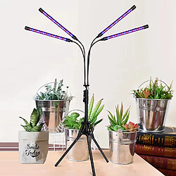 Avis Lampe Pliable Plantes INF - Noir
