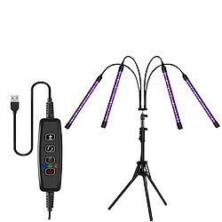 Lampe Pliable Plantes INF - Noir