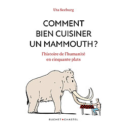 Comment bien cuisiner un mammouth ? : l'histoire de l'humanité en cinquante plats - Occasion