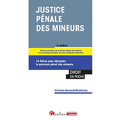 Justice pénale des mineurs : 14 fiches pour décrypter le parcours pénal des mineurs : tous les principes de la justice pénale des mineurs et la nouvelle procédure de mise à l'épreuve éducative