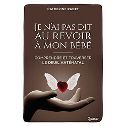 Je n'ai pas dit au revoir à mon bébé : comprendre et traverser le deuil anténatal - Occasion