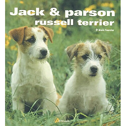 Jack et parson, russell terrier - Occasion