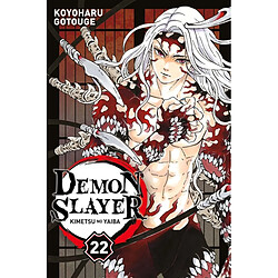 Demon slayer : Kimetsu no yaiba. Vol. 22