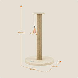 Avis acaza Griffoir pour chat ACAZA