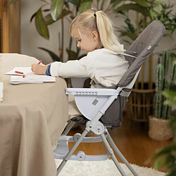 Ingenuity Chaise haute bébé - Gris