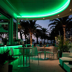 Avis Ledkia Bobine néon LED 360° IP67 extérieur - Vert