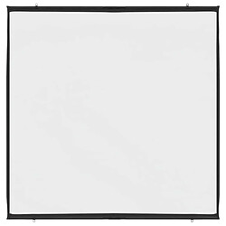 Acheter vidaXL Écran de projection mural 81 pouces