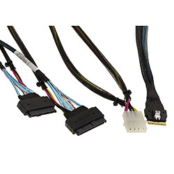 Kalea-Informatique Cordon PCIe 4.0 Slim SAS SFF-8654 8i vers 2x SFF-8639 70cm