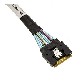 Kalea-Informatique Cordon PCIe 4.0 Slim SAS SFF-8654 8i vers 2x SFF-8643 80cm