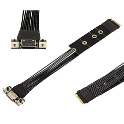 Kalea-Informatique Adaptateur pour port M2 NVMe M Key vers Oculink SFF-8612