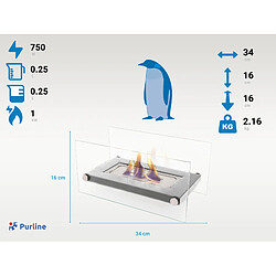 Avis Purline Poêle à éthanol Oniros W - Gris