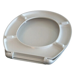 Avis MSV Abattant Wc Thermo Dur WORLD Gris & Blanc - Charnières PS