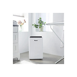 Avis Woods Déshumidificateur Wood s MRD20G