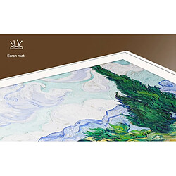 TCL 55A300W pas cher