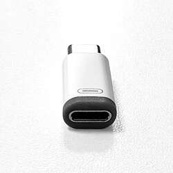 INF Adaptateur Lightning vers USB-C