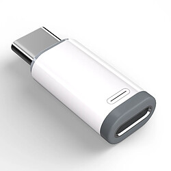 INF Adaptateur Lightning vers USB-C