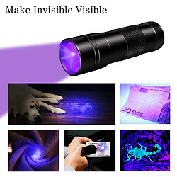 Acheter INF Lampe de poche UV 12 LED 395 nm