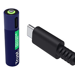 Batteries Trust 25671 AAA pas cher