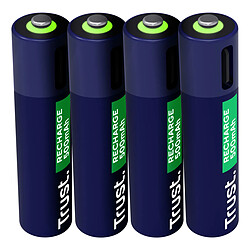 Avis Batteries Trust 25671 AAA