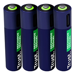 Acheter Batteries Trust 25671 AAA